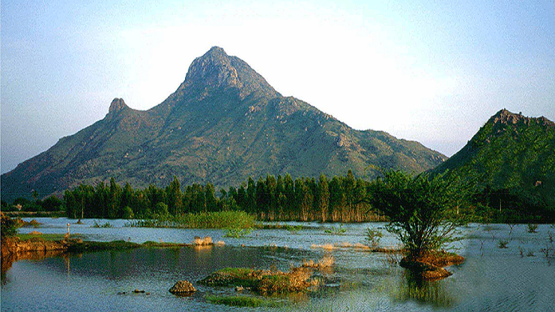 Arunachala hills