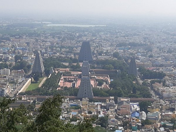 Best time to visit Krivalam in Thiruvannamalai