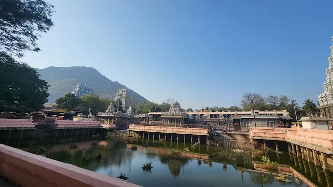 La woods village resorts in Tiruvannamalai - Tiruvannamalai Ads